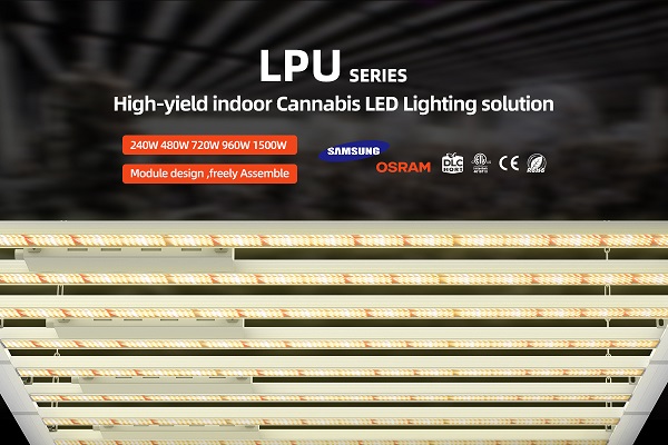 Read reviews and do research before purchasing cannabis grow lights