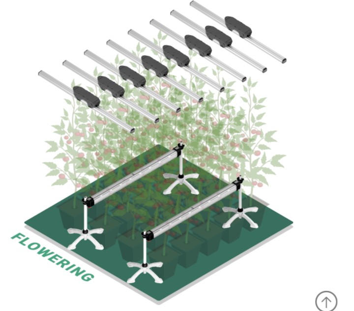 Research on lighting optimization and plant growth regulation in vertical farming systems