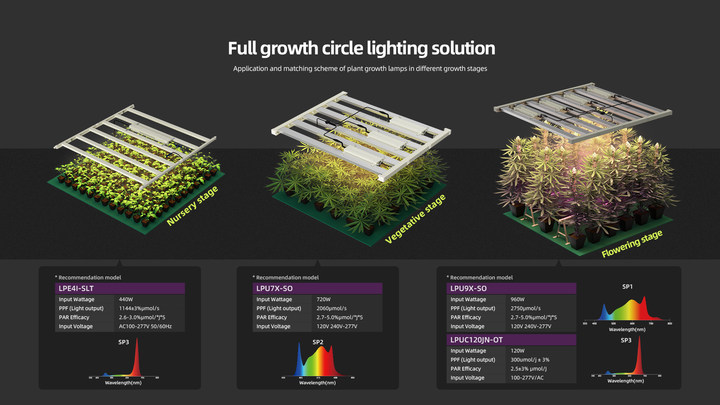 LED Industrial Hemp Grow Lights - Opportunities for LED Plant Grow Lights