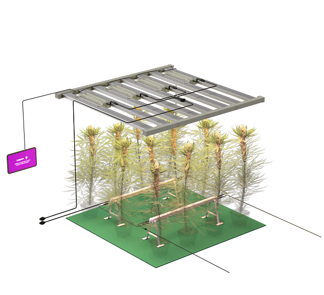 Do I need to adjust the height of my LED lights as my plants grow?