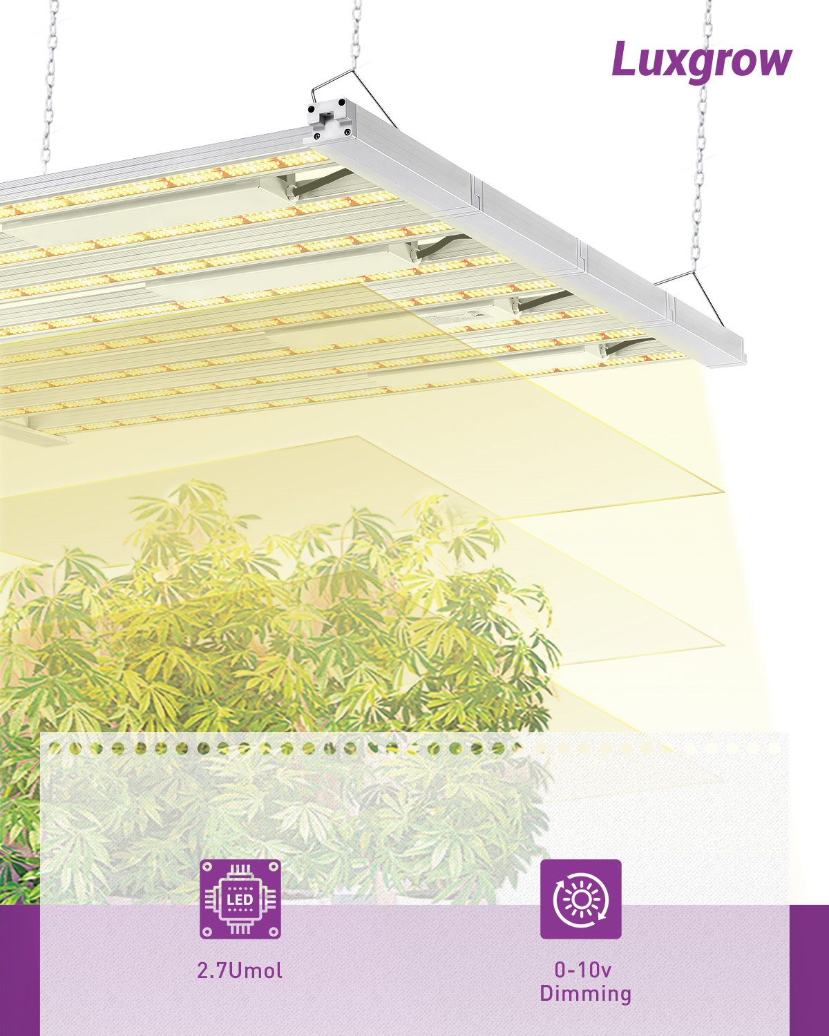 Lighting for Growing Cannabis LED Grow Light-LPU Series-Cannabis Grow ...