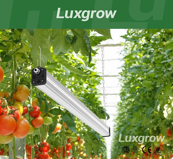 commercial grow led lights