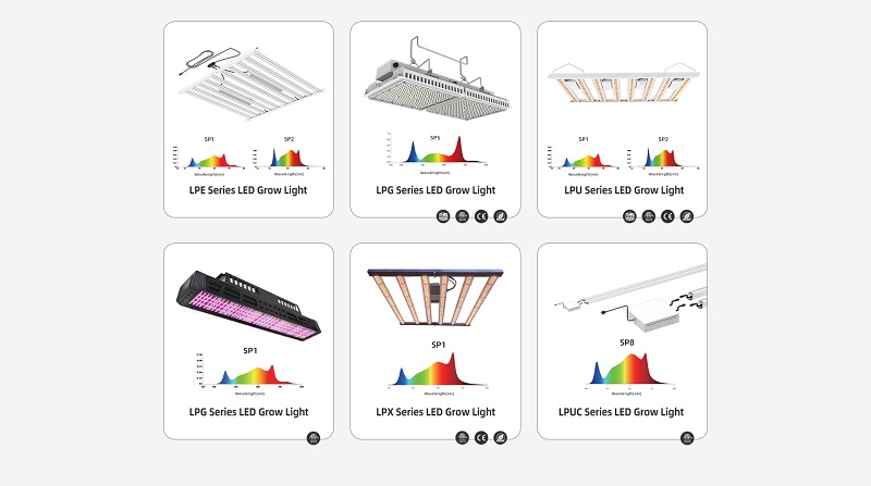 led lights for growing cannabis