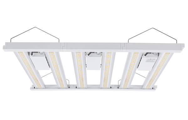 Are there specific grow lights for different stages of plant growth