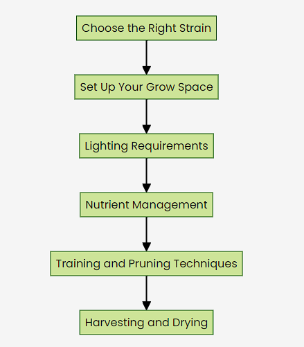 stylish grow lights for indoor plants