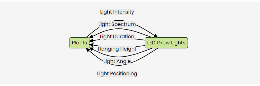 decorative grow lights for indoor plants