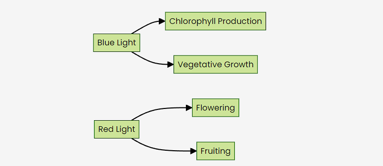 best indoor grow lights 2022