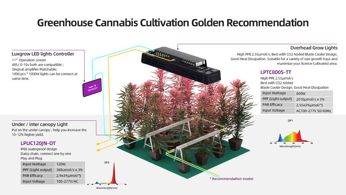 standing grow lamp (1).jpg