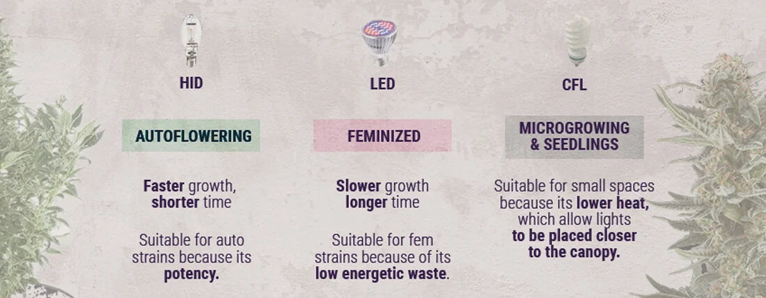 Types-of-Light-when-growing-Cannabis-Desktop-2